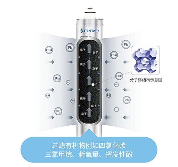 z6尊龙凯时ag旗舰厅(中国)人生就是搏官网