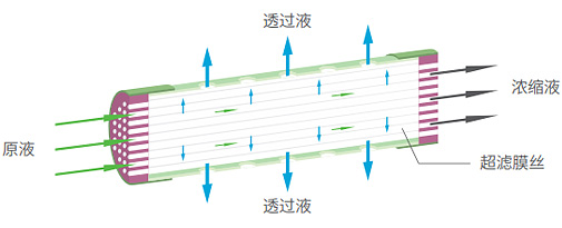 z6尊龙凯时ag旗舰厅(中国)人生就是搏官网